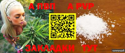 гидра Нальчик